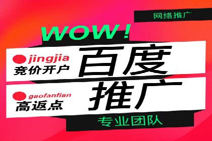 谷歌竞价案例：快速提升品牌影响力的广告策略